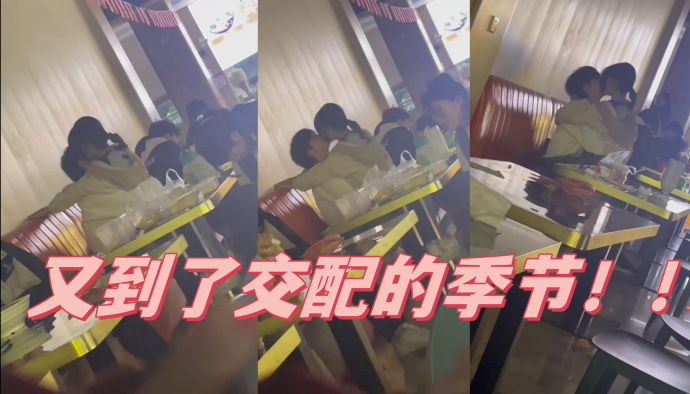 又到了交配的季节！！