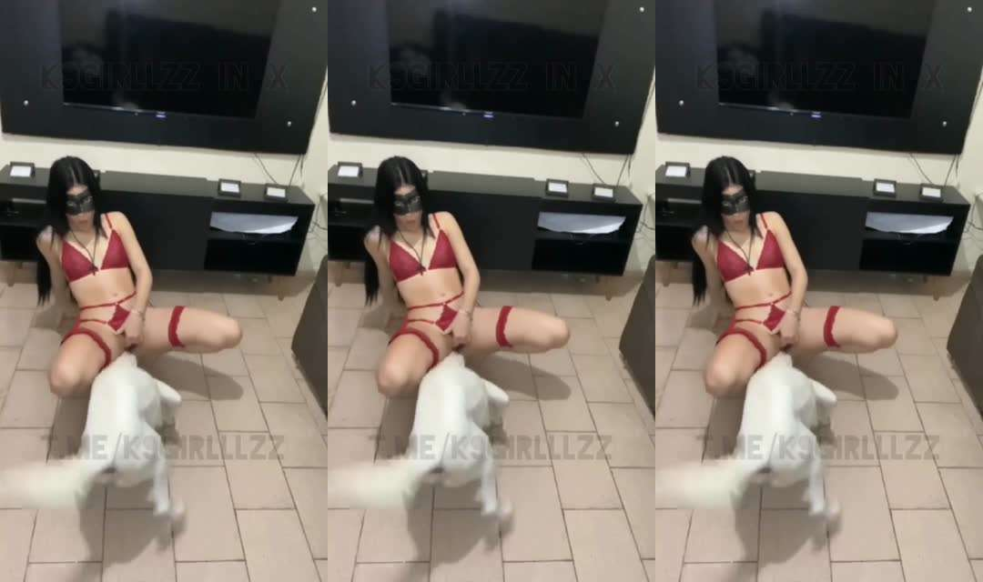 k9系列小白狗#狗狗#舔逼#挑逗#人妻#骚逼#情趣内衣#白虎