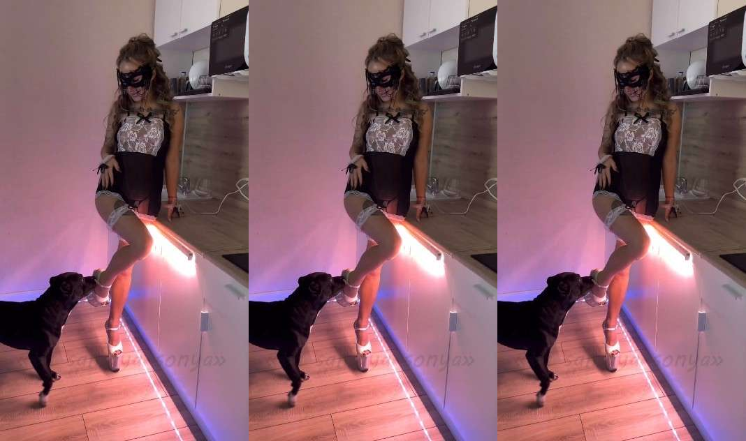 小黑狗内射情趣女主人（更多高质量片子，狗猪马系列需要看主页简介或者私信）#肛塞#白虎#毒龙#情趣内衣#骚逼#人妻#挑逗#舔逼#蝴蝶结#狗狗